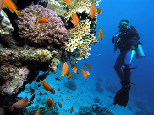 Mikrodermabrasion mit Korallenpflege